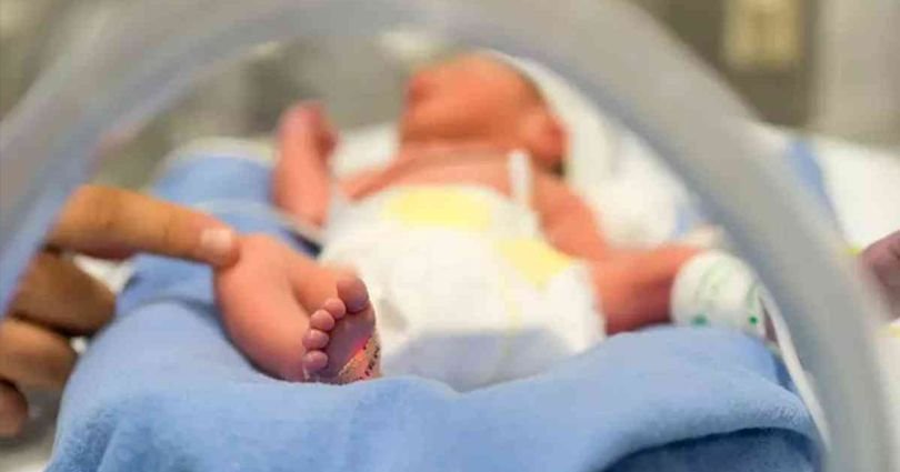 Projeto dispõe sobre direitos à gestante e ao recém-nascido sul-mato-grossenses