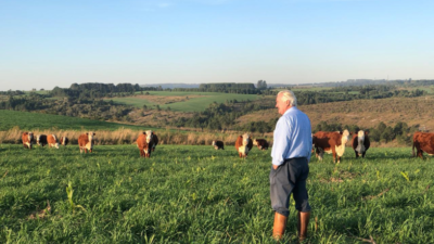 O papel das commodities agrícolas na balança comercial brasileira
