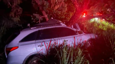 Motorista douradense morre após atropelar javali e bater em árvore na BR-267