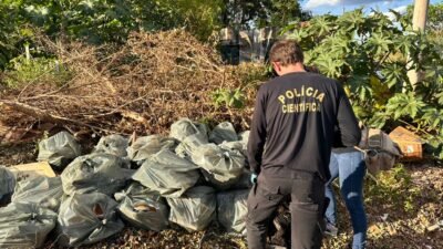 Casal é preso por descarte irregular de caixas d’água de amianto em terreno baldio