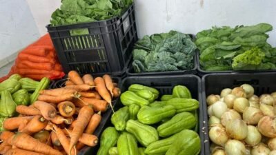 Dourados lança edital para compra de alimentos da agricultura familiar para a merenda escolar