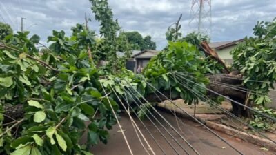 Trabalho de limpeza de Dourados após o temporal está praticamente concluído